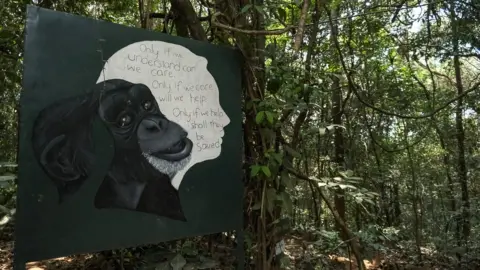 Grace Ekpu/BBC A sign showing a quote and image of Dr. Jane Goodall, British primatologist at the Tacugama Chimpanzee sanctuary