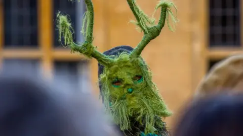 Man dressed as tree