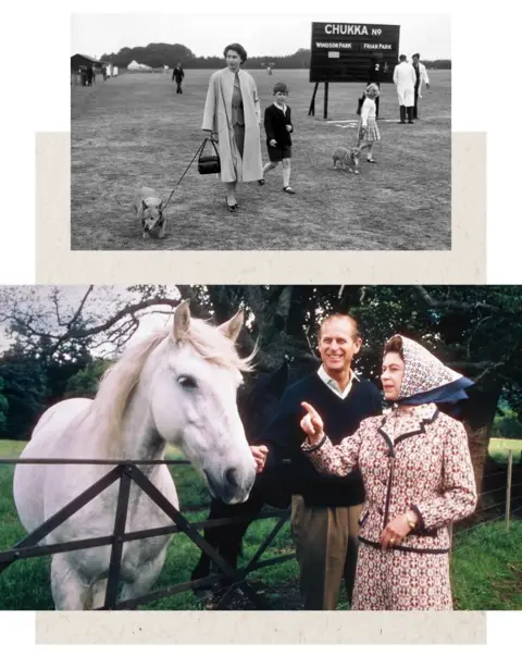 Two pictures of the Queen, one with Prince Charles and Princess Anne and two corgis, walking in Windsor Great Park in 1956, the other with Prince Philip standing next to a white horse on a farm on the Balmoral Estate in Scotland in 1972