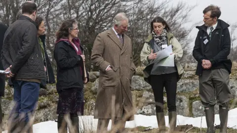 Charles Sainsbury-Plaice Prince Charles Curlew Recovery Partnership