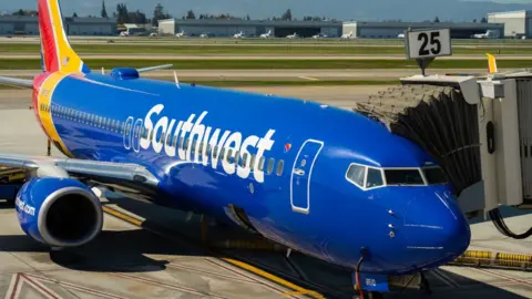 Getty Images A southwest Airlines Boeing 737-800 (stock image)