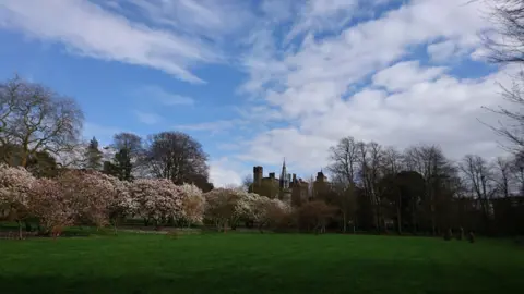 Tracy Dunford Bute Park