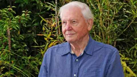 PA Media Sir David Attenborough