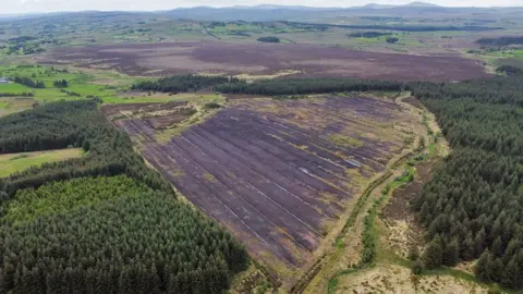 Ulster Wildlife Ariel shot of Haughey's Bog in Country Tyrone