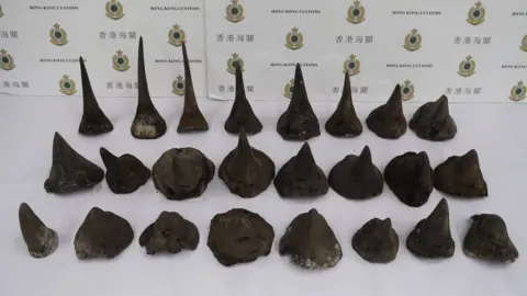 AFP/Getty Photo released by Hong Kong Customs and Excise Department of seized rhino horns