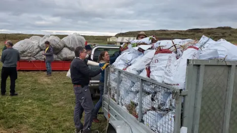 Alderney Wildlife Trust Volunteers putting sacks of Sour Fig in trailer