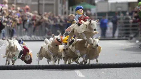Michael McGurk Sheep racing