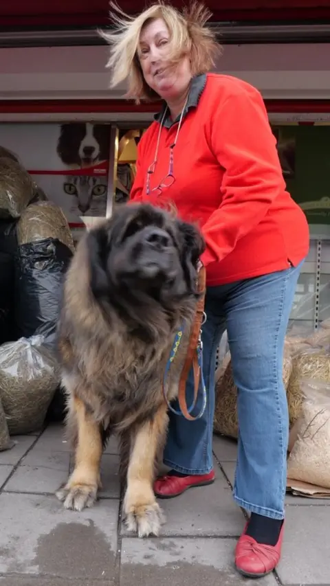 Colin Moody Sarah Barrett Roxfords Pet Shop