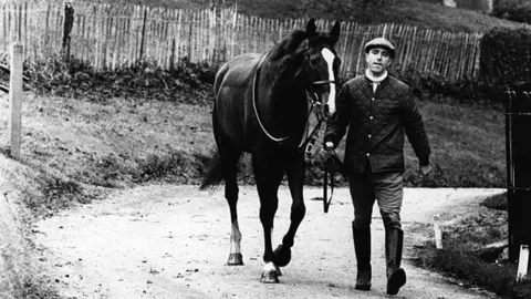 Hulton Archive via Getty Images Ben Nevis the horse