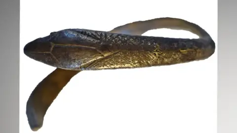 Northamptonshire County Council Roman snake head silver bracelet