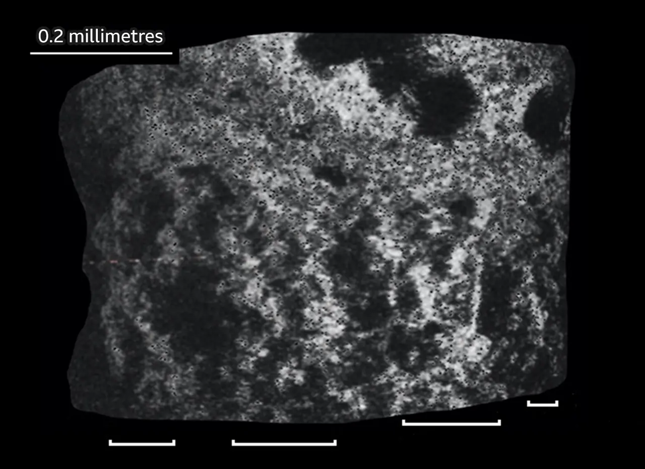 K.Hickman-Lewis et al Palisade structures