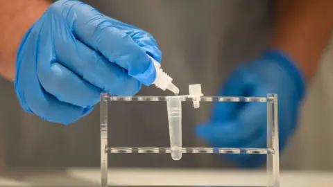 Getty Images Lateral flow testing