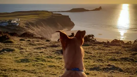 Ashley Williams Bryn takes in the glorious Worm's Head view on Gower in this picture by Ashley Williams