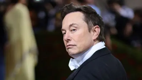 Getty Images Elon Musk