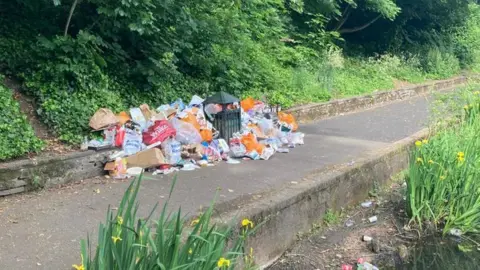 LDRS Rubbish next to the park