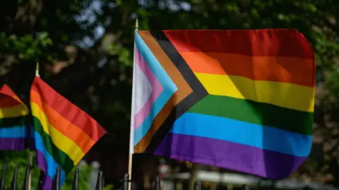 Getty Images US Pride and Progress flag (includes brown and black to make it more inclusive)