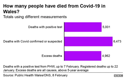 Graphic showing deaths by different measures