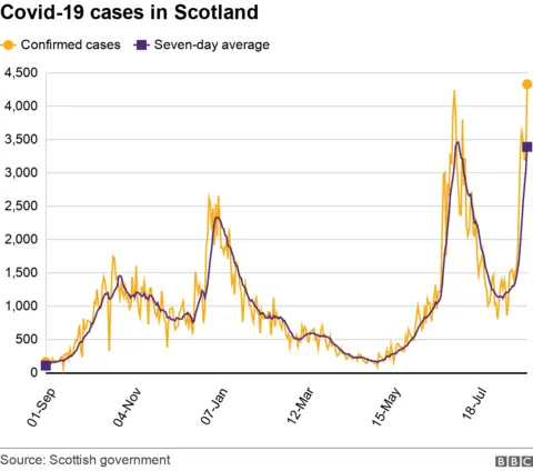 daily cases