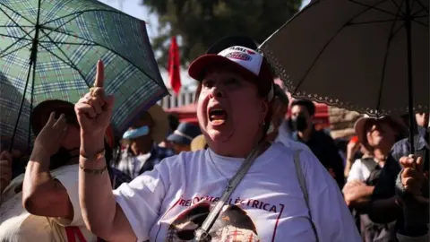 Reuters Protesters supporting the constitutional overhaul of the electricity sector take part in a demonstration outside the Congress building while Mexican legislators attend a session to vote on the constitutional reform of the electricity sector defended by Mexico"s President Andres Manuel Lopez Obrador, outside the Mexican Congress, in Mexico City, Mexico April 17, 2022