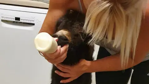 John Nuttall Kye being bottle fed