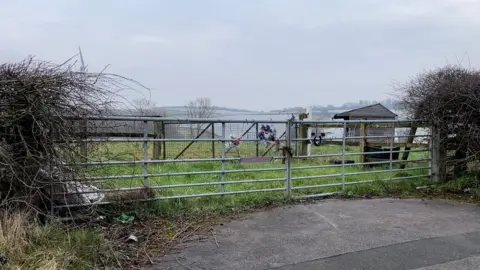 Field where Gracie was killed