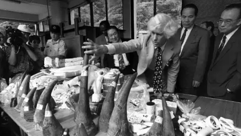 Getty Images Esmond Martin (3rd R), a United Nations special envoy whose responsibility is the problem of rhinoceros poaching and trafficking, inspects 20 confiscated rhino horns, elephant tusks and ivory objects at the Taipei Zoo 04 June before the illegal goods were incinerated publicly to demonstrate the government's commitment to protecting wildlife.