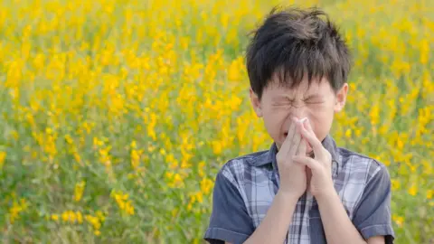 Getty Images Hay fever