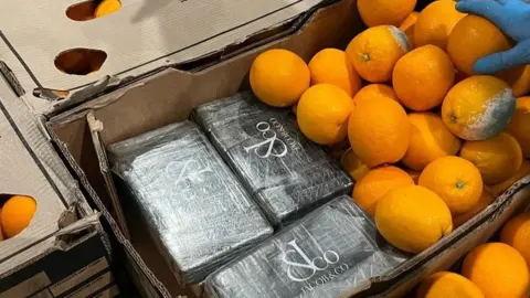 SWROCU Drugs found within the container of oranges