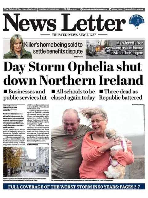 News Letter News Letter