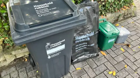 BBC new bins