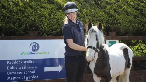 World Horse Welfare Mr Melvin Andrews with his groom Katie