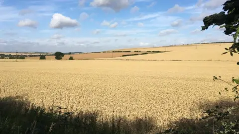 Richard Pavitt Fields in North Uttlesford which were earmarked under the plans