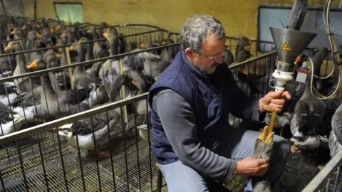 REMY GABALDA/AFP via Getty Images Foie gras