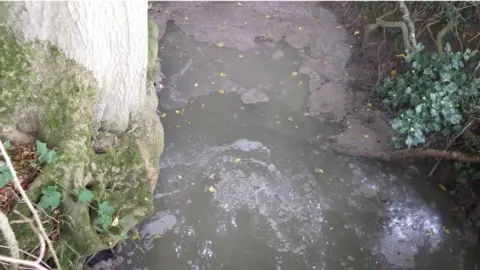 Environment Agency Sewage that has poured off the bridleway into the tributary of Bourn Brook