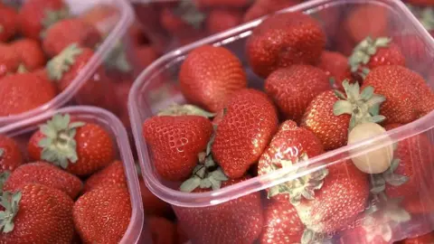 Strawberries in container