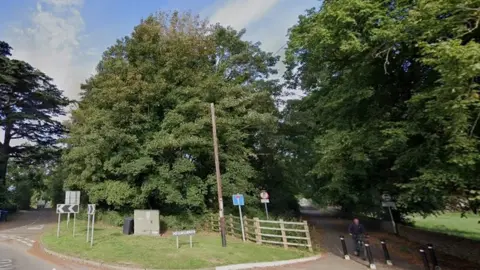 Google Land covered in trees with gate and footpath visible