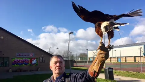 Gwynedd council The hawk