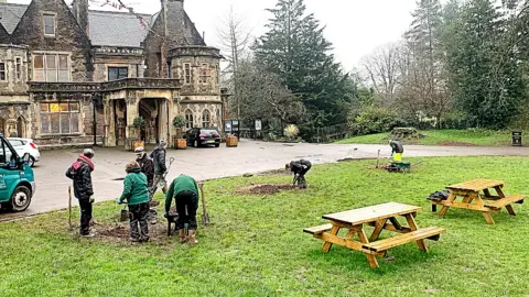 Insole Court tree planting