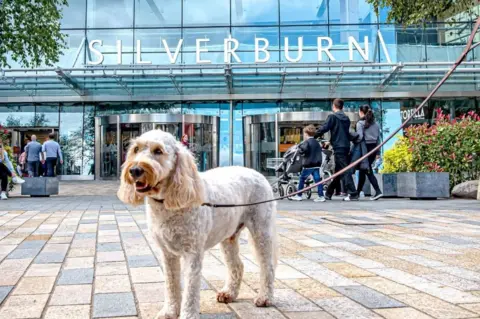 Lucy Knott Dog outside Silverburn