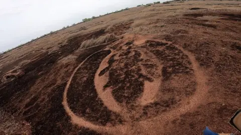 BBC Marathi Petroglyph insect, possibly a beetle