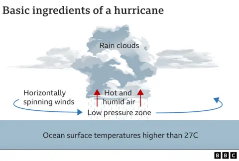 BBC Graphic showing the basic ingredients of a hurricane - rainclouds, rising hot and humid air and low horizontally spinning winds above the sea. The ocean temperature needs to be above 27C.