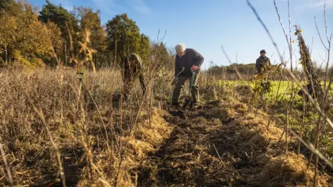 NAtional Trust  Tree planting at Oxburgh Hall