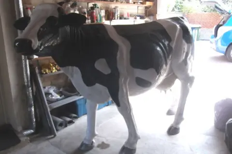 Blossom the model cow's owner baffled by mystery return