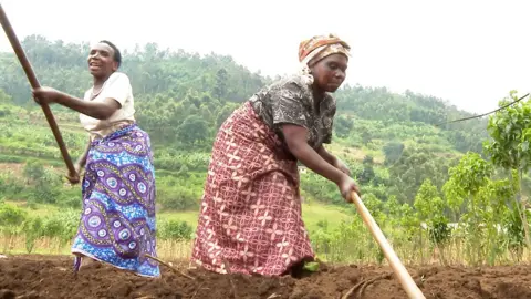 Women farming