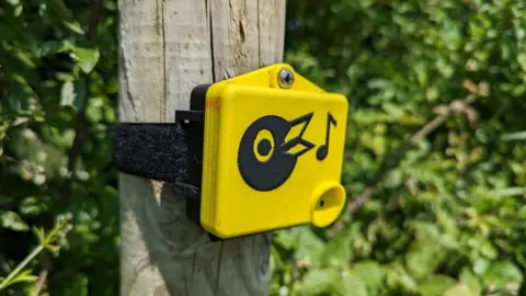 BBC A yellow Box with a black bird graphic