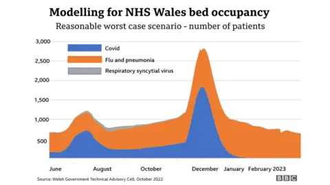 BBC graphic of NHS Wales bed occupancy modelling