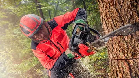 Getty Images A lumberjack cutting down a tree with a chainsaw