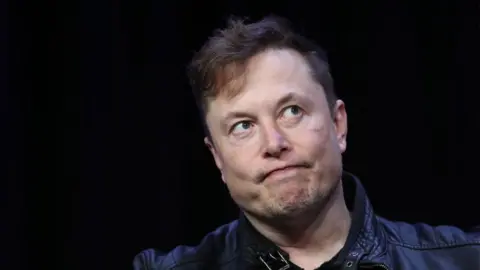 Getty Images Elon Musk