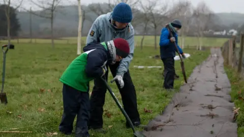 Tree planting