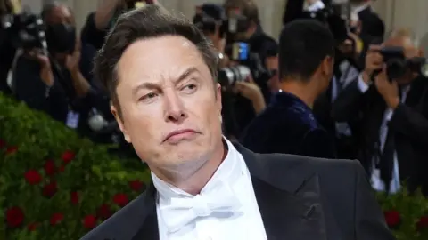 Getty Images Elon Musk at the 2022 Met Gala in New York.